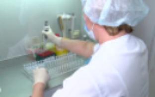 Свердловская область вышла на плато по заболеваемости коронавирусом