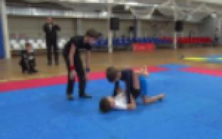 Турнир по единоборствам