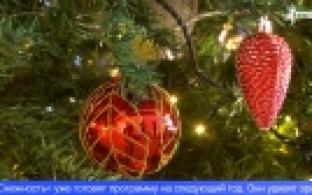 Фестиваль "Снежность" посетили более 15 тысяч юных зрителей