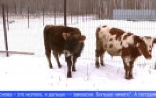 Первоуральские фермеры проходят обучение в специальной школе для аграриев