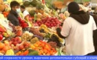 В Свердловской области растут цены на продукты