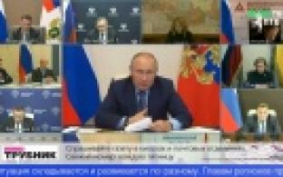 Нерабочую неделю с 30 октября по 7 ноября планируют ввести в России