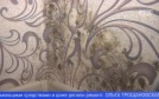 Жители дома на улице Емлина страдают от плесени в квартире