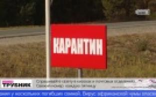 В пяти муниципалитетах Свердловской области введен режим ЧС