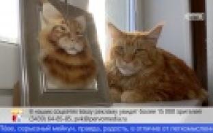 Уральская рукодельница создает реалистичные портреты животных