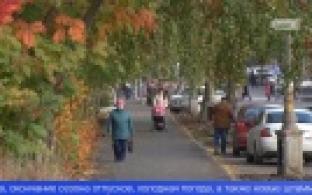 В Свердловской области растет заболеваемость коронавирусом