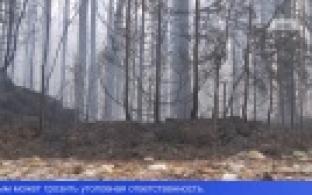 Лесные пожары близ Первоуральска локализованы