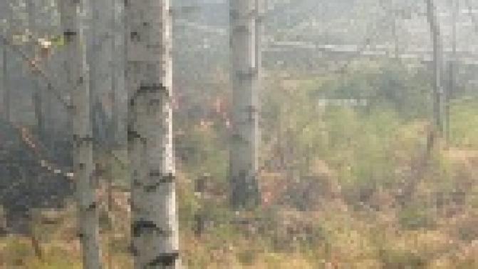 В Первоуральске продолжают бороться с природными пожарами