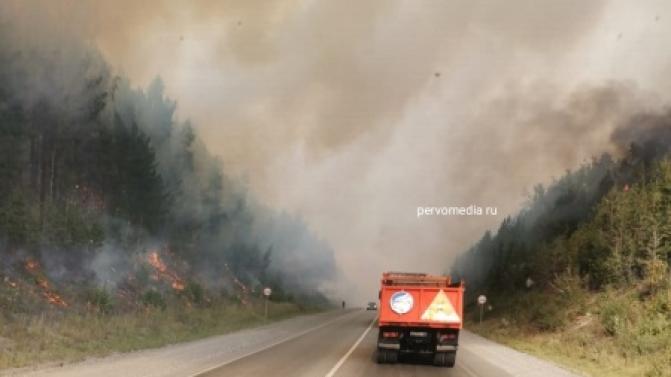 Горит лес в районе горы Волчиха