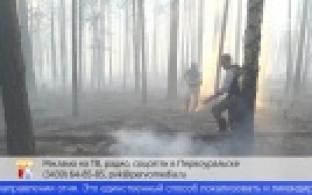 Лес около Первоуральска продолжает гореть