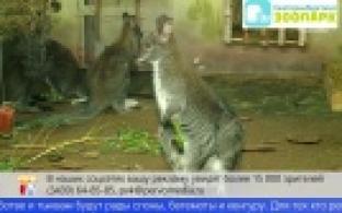 Екатеринбургский зоопарк принимает излишки урожая