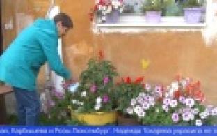 Жители Хромпика устроили конкурс на лучшее оформление палисадников