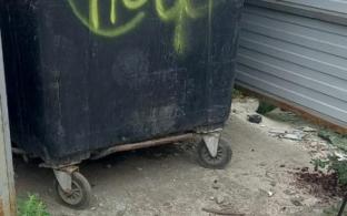 В Первоуральске обрабатывают контейнерные площадки от паразитов