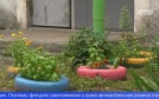 Клумбы из старых покрышек - вне закона