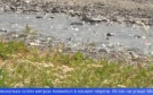 В Трудпоселке прямо на дороге образовалась "речка"