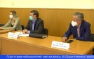 За предстоящими выборами будут следить наблюдатели Общественной палаты