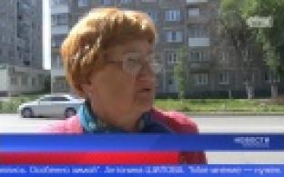 Первоуральцы поделились своим мнением о медвытревзителях