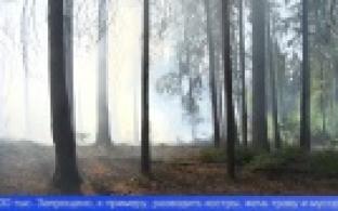 Противопожарный режим в Первоуральске продлен