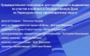 Стартовало предварительное голосование за кандидатов в депутаты