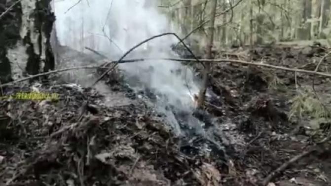 Возгорание в лесу в районе Динаса