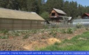 Конфликт в Первоуральском коллективном саду дошел до суда