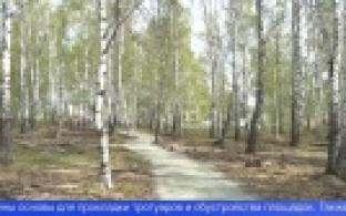 Благоустройство Корабельной рощи продолжается