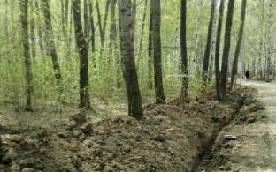 Комиссия из администрации проверила ход реконструкции Корабельной рощи