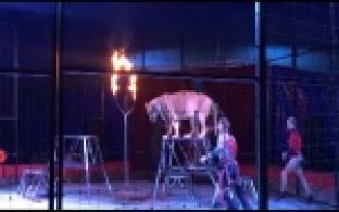 В Первоуральск на гастроли приехал цирк-шапито