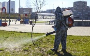 Обработка от клещей