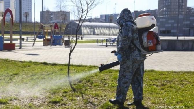 Обработка от клещей