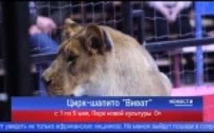 В Первоуральск на майские праздники приедет цирк-шапито