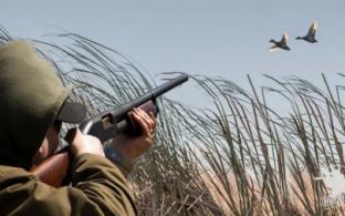 Вниманию охотников