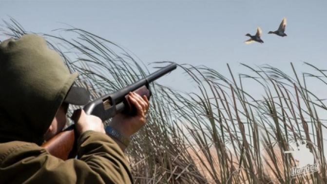 Вниманию охотников