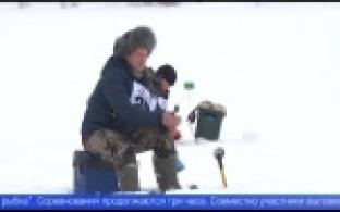 Традиционные соревнования "Весенная мормышка" провели на Билимбаевском пруду