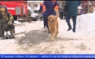 В Первоуральске прошли учения оперативных служб