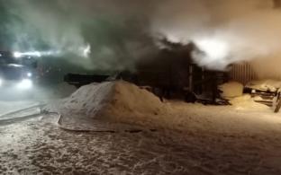 Семь лошадей погибло в пожаре в Первоуральске