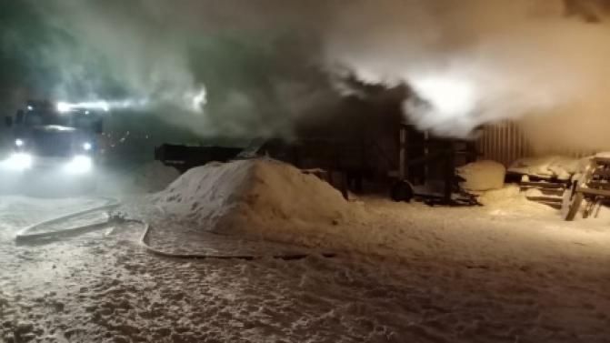 Семь лошадей погибло в пожаре в Первоуральске