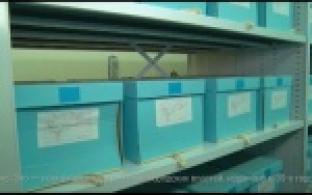 Работники городского архива празднуют профессиональный праздник