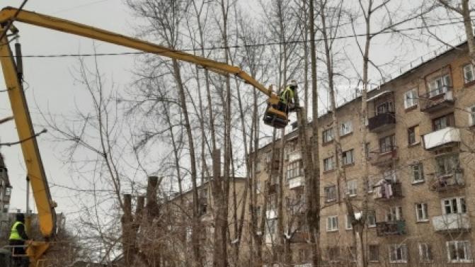 В Первоуральске кронируют деревья