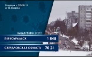 Статистика по коронавирусу в Свердловской области (графика)