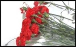 К Мемориалу славы возложили цветы в честь Дня защитника Отечества