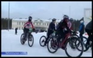 Первоуральские велосипедисты стали призерами областных соревнований