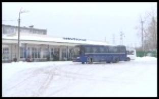 Первоуральские пассажироперевозчики получили штрафы за нарушение санитарных норм