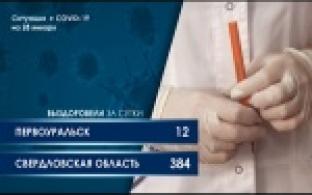 Статистика по коронавирусу за последние сутки (графика)