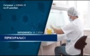 В Первоуральске новый антирекорд заболеваемости коронавирусом