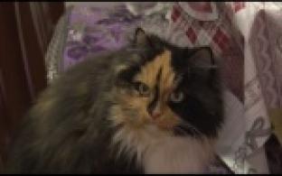 В доме на улице Строителей проблема с отоплением