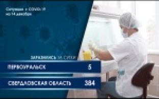 Ситуация с COVID-19 в Свердловской области за последние сутки (графика)