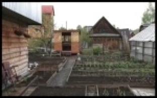 В России пройдет перепись сельского хозяйства