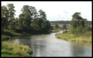 В Роспотребнадзоре проверили загрязненную воду из реки