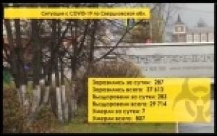 В Правительстве области уточнили, какие школьники перейдут на дистанционное